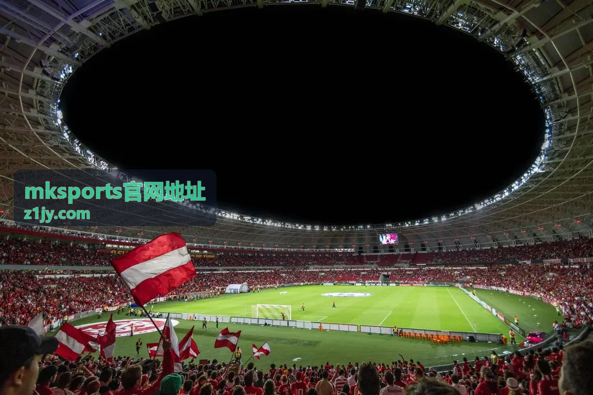 mksports官网地址入口状态示意图