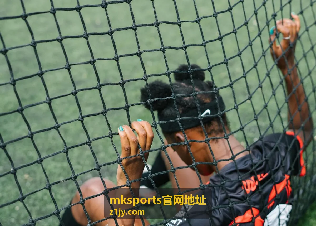 mksports官网地址入口变更记录封面
