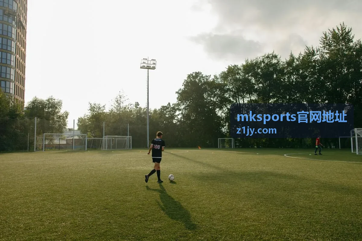 mksports官网地址安全核对清单封面